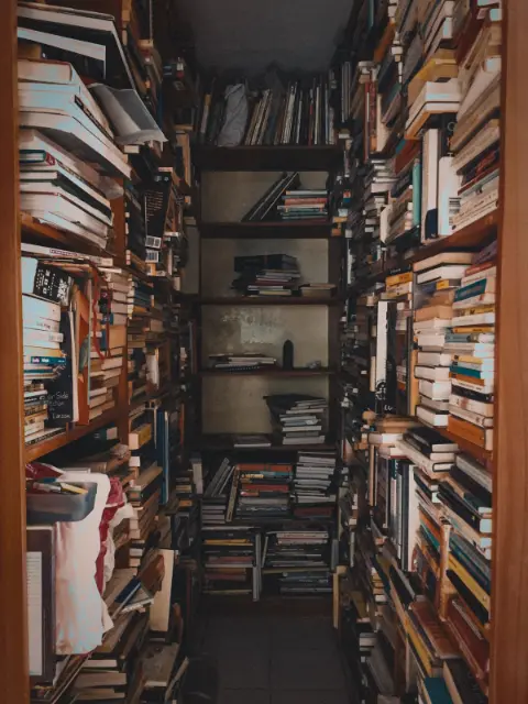 Stacks of books on bookshelves